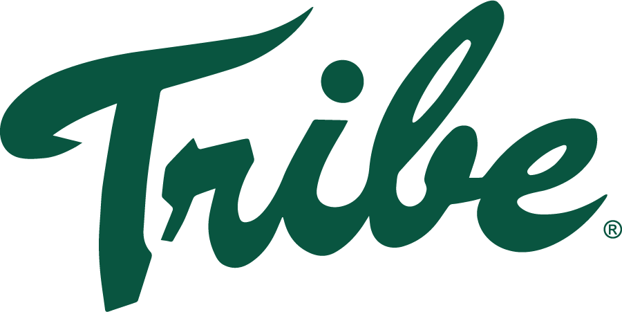 William and Mary Tribe 1981-2016 Alternate Logo diy iron on heat transfer